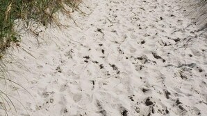 Un sentier de sable bordant la plage, parsemé d'empreintes menant à l'océan, et entouré de dunes herbeuses.