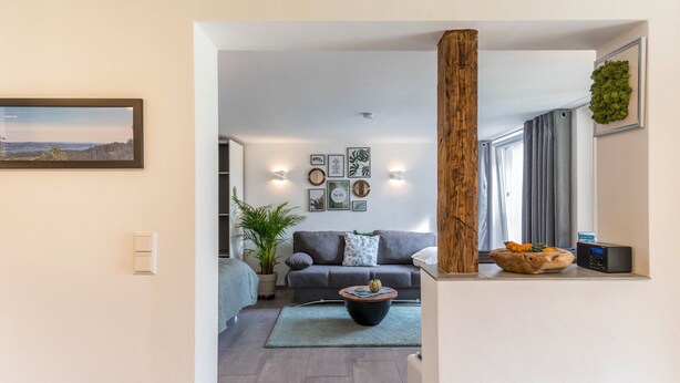 A modern living room with a grey sofa, a coffee table, and a potted plant. - Schweizer Holiday Apartment – Relaxing Getaway at Lake Constance in Hemmenhofen (Gaienhofen)