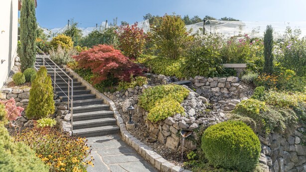 Un jardín con una escalera de piedra, diversas plantas y un cielo despejado.