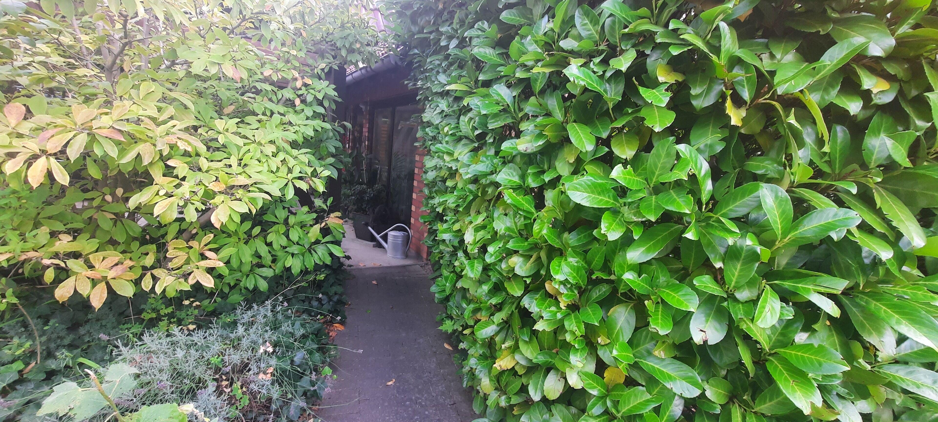 Àrea exterior de l&#x27;allotjament