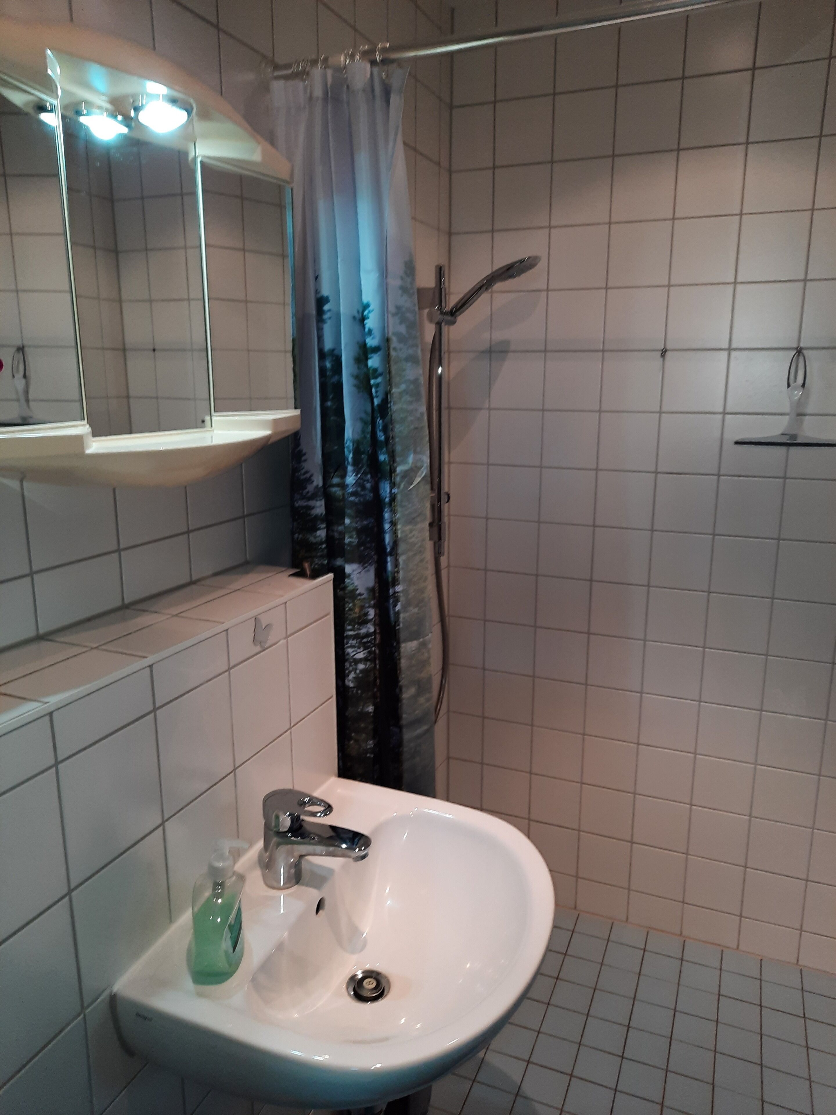 Suihku, hiustenkuivaaja, pyyhkeet, vessapaperi