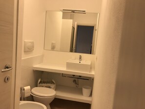 Shower, hair dryer, bidet, towels