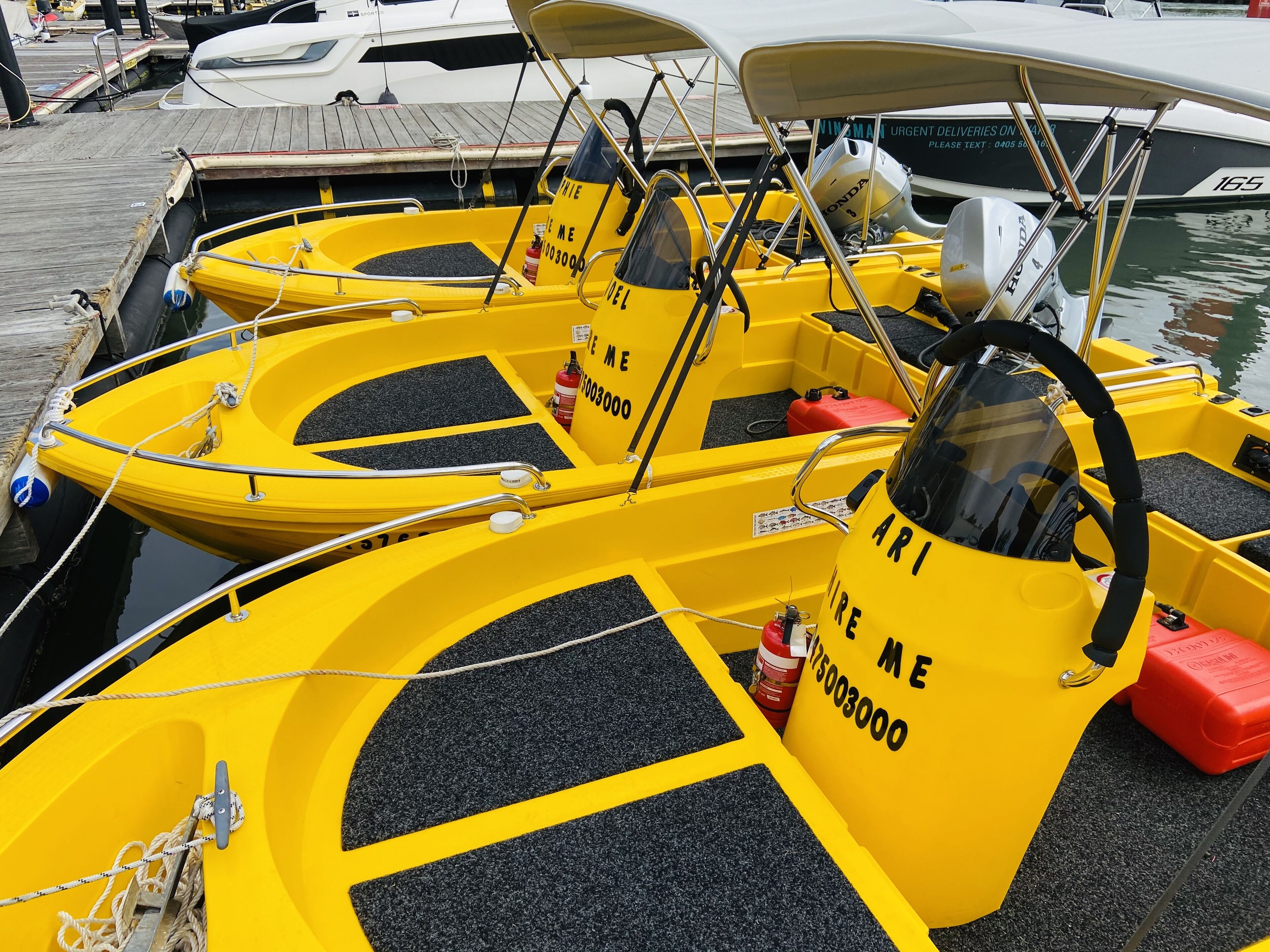 Jewel of Brooklyn — image 30