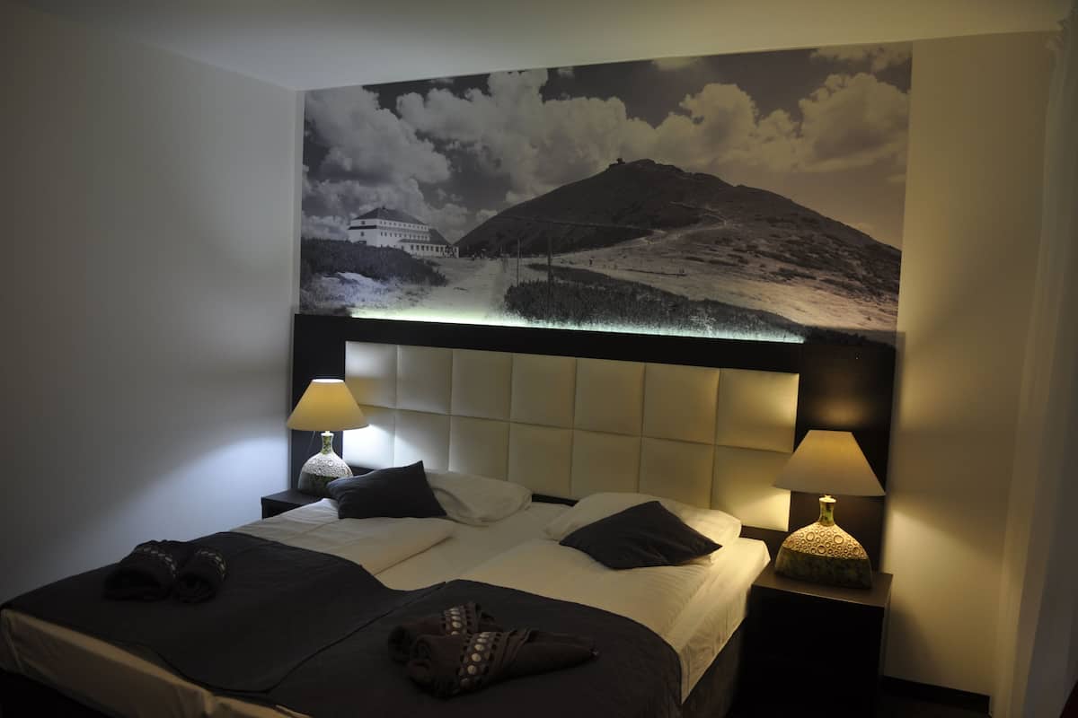 Standard Double Room | WiFi (free)