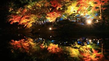 A nighttime view of a park with illuminated trees and a calm body of water reflecting the lights.