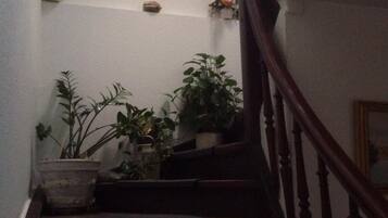 A staircase with wooden steps and a handrail, leading to a landing with a marble wall and a framed picture.