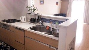 A compact kitchen with a stove, sink, and a small countertop area. - Tokyo Toneri Garden House-Stay (Tokyo)
