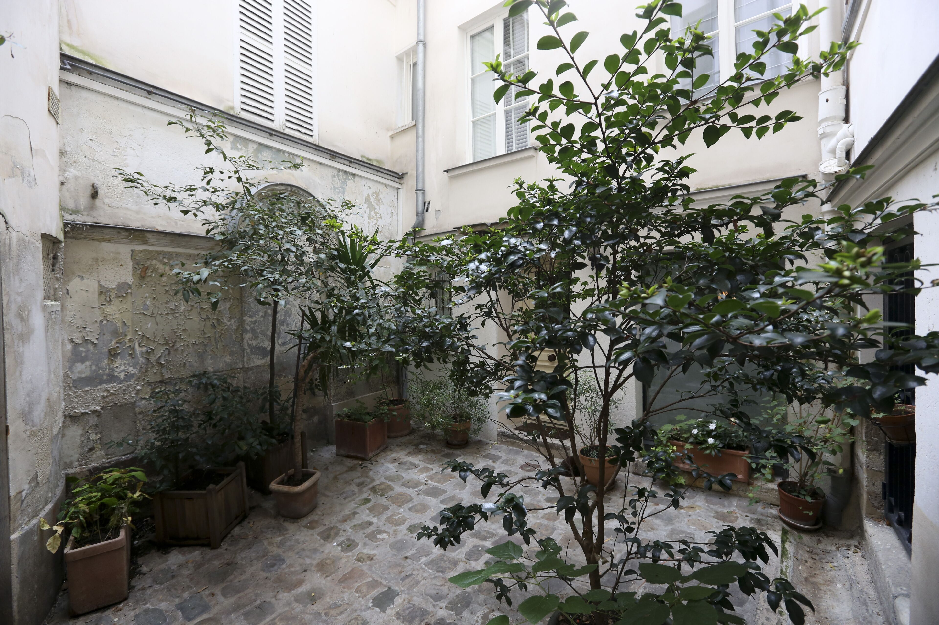 Courtyard view