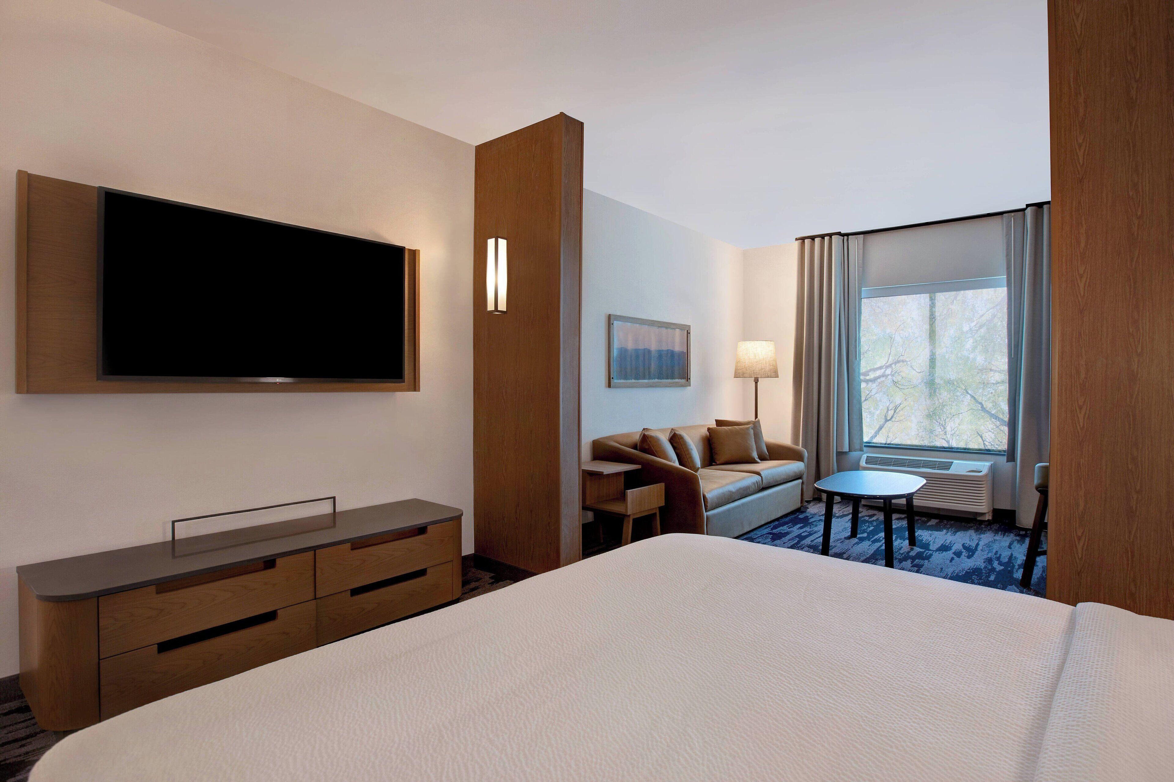 Suite, 1 King Bed with Sofa bed