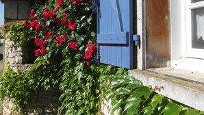 Eine Steinmauer mit einer blauen Tür und einem Fenster mit weißen Rollläden.