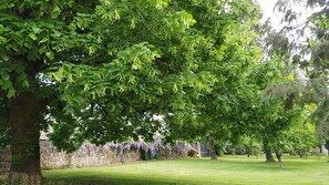 A lush garden with mature trees, a stone wall, and a grassy lawn. - Le Clos de La Font Queroy (Vouthon)