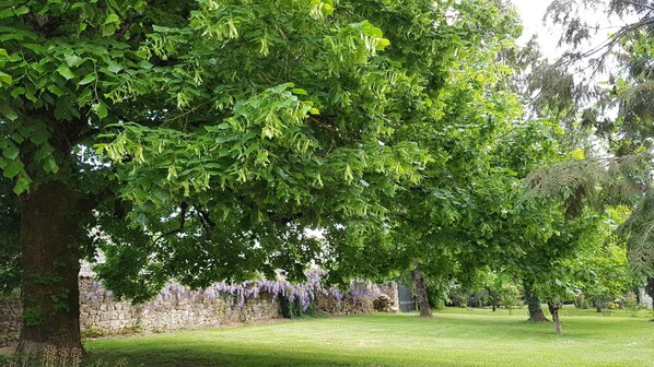 Property grounds - Le Clos de La Font Queroy (Vouthon)