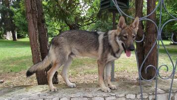 Enceinte de l’hébergement