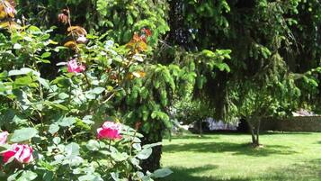 A garden with a variety of trees and flowering plants, including roses.
