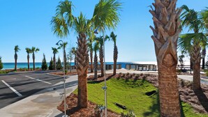 Eine Küstenstraße gesäumt von Palmen mit freiem Blick auf das Meer.