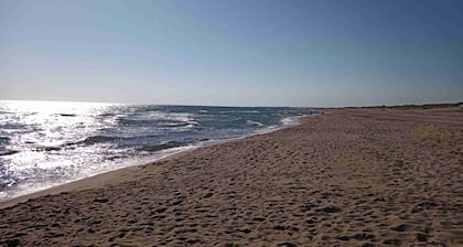 The Green View. Elegante House - Casal Palocco - Rome Italy - Garden