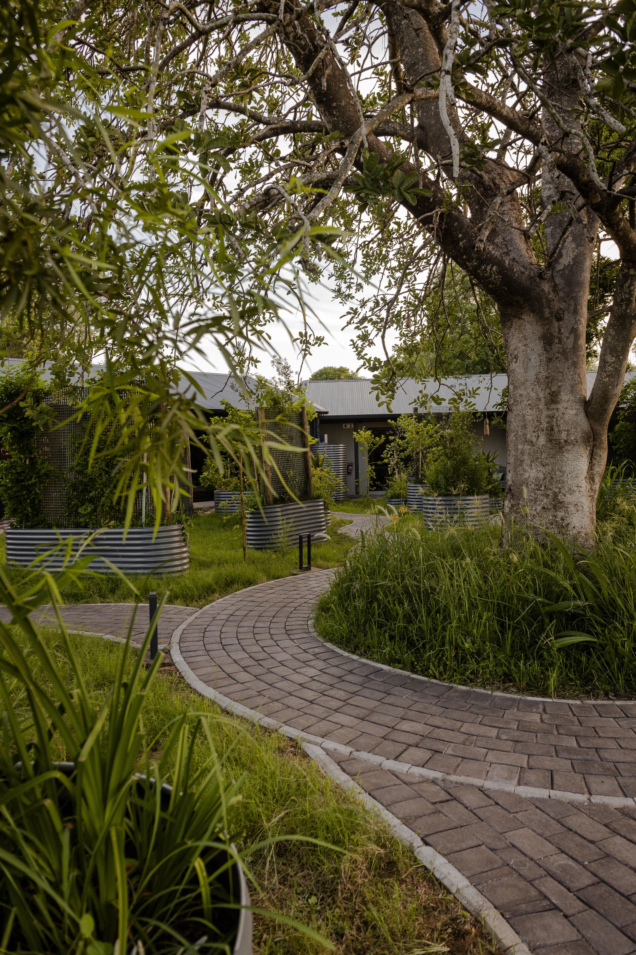 A curved brick pathway leading to a building with a modern design, surrounded by lush greenery and a large tree.