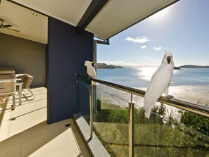 Balcony view - Edge 19 (Whitsundays)