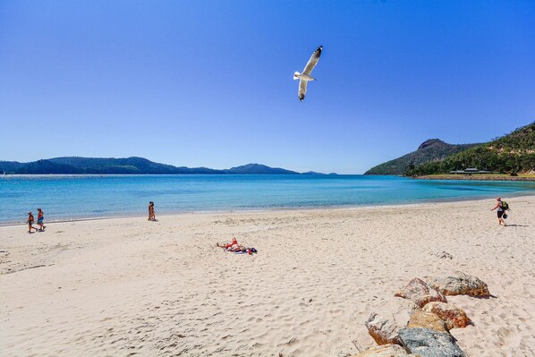 Playa