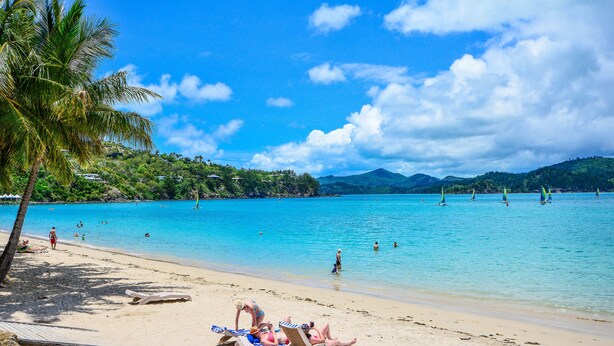 A beach with clear turquoise water, palm trees, and people sunbathing.