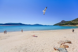 Beach/ocean view - Whitsunday Apartment West 004 (Whitsundays)