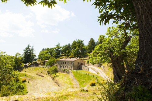 HOUSE IN THE GREEN JUNIPER IN THE CASENTINO FORESTS PARK