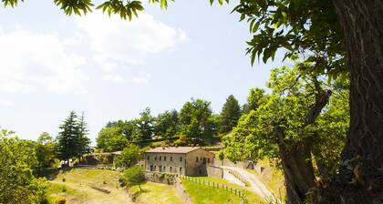 HOUSE IN THE GREEN JUNIPER IN THE CASENTINO FORESTS PARK