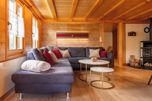 Smart TV, fireplace, video games, stereo