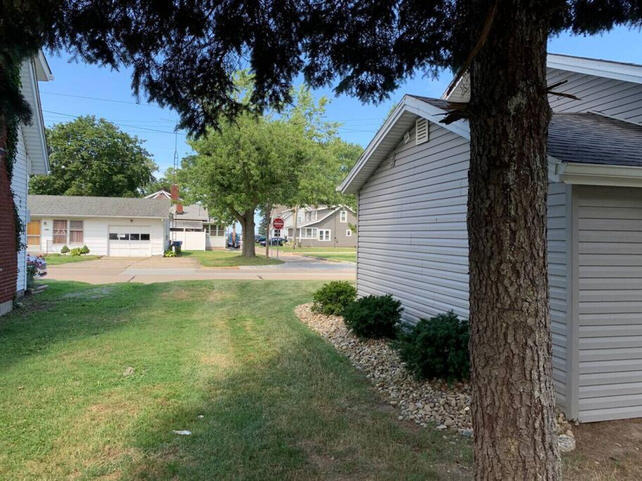 A residential area with houses, a tree, and a driveway.
