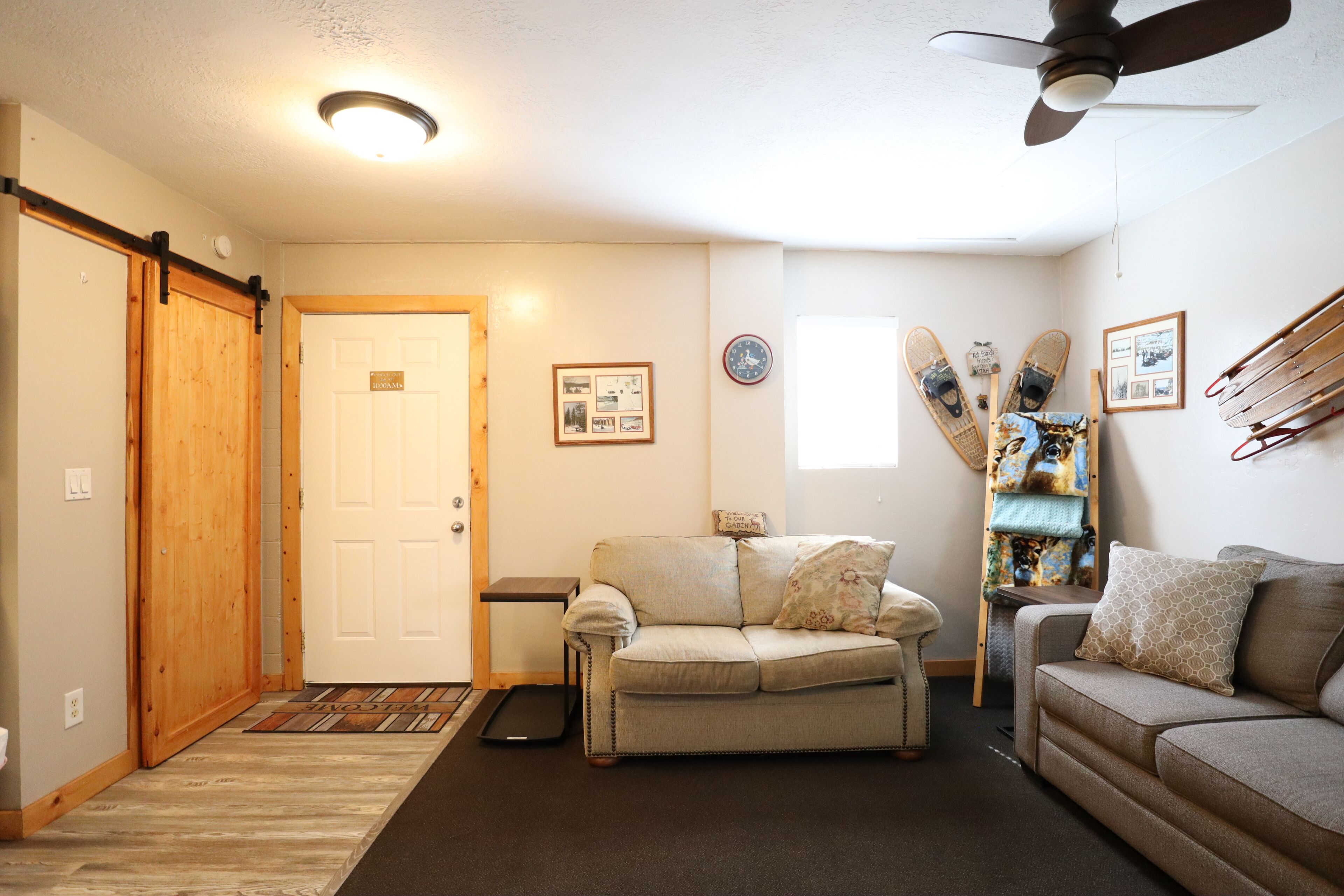 TV, DVD player, books, video library