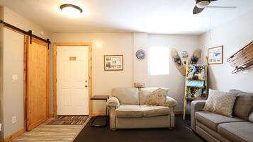 TV, DVD player, books, video library