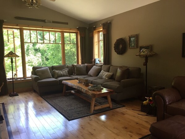 TV, fireplace, books, video library