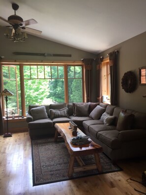 TV, fireplace, books, video library