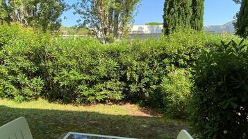 A garden with a glass table and chairs, surrounded by dense greenery and tall trees.