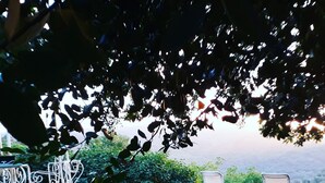 미분류 이미지, 2/10장, 버튼