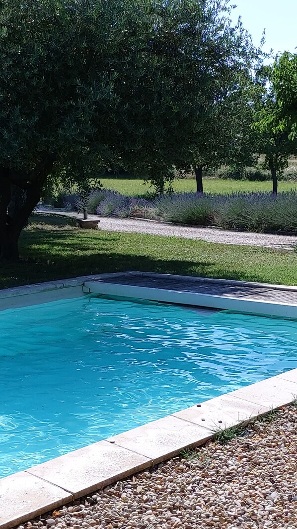 Piscine extérieure