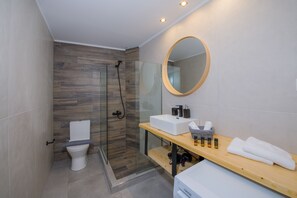 Douche, sèche-cheveux, serviettes fournies, papier toilette