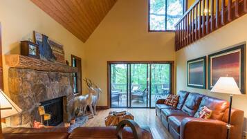 Älytelevisio, takka, DVD-soitin, kirjoja