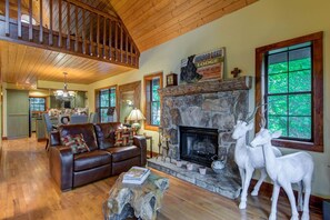 Smart TV, fireplace, DVD player, books - Red Top Treehouse Cabin in Mirror Lake and minutes to downtown-Dog Friendly! (Highlands)