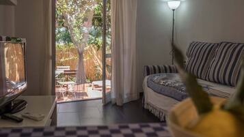 Smart TV, fireplace, books