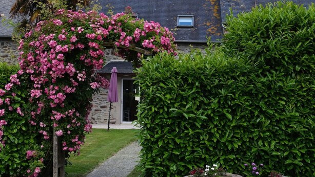 A garden with a stone wall, a pathway, and a building with a window.