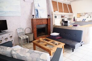 Télévision, cheminée, lecteur de DVD, livres