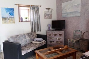 Televisión, chimenea, reproductor de DVD y libros