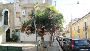 Une rue bordée de voitures garées, un banc et un arbre aux fleurs roses.