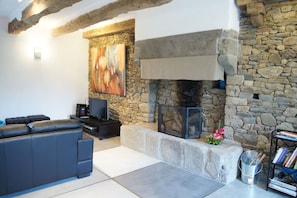 TV, fireplace, DVD player, books - Gîte La Chouette (Baguer-Pican)
