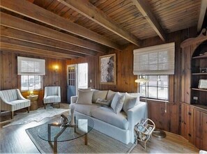 Televisión, chimenea y reproductor de DVD 