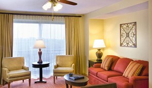 TV, DVD player, books, video library