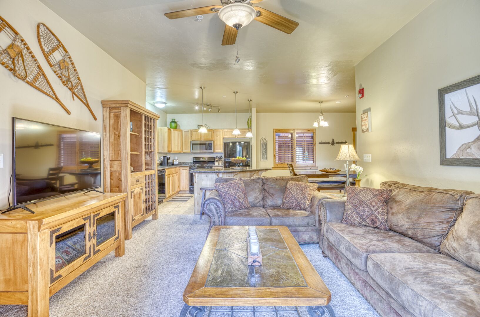 电视、壁炉、DVD 播放器、书