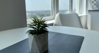 11th floor of 34 Pearl Kaddor in Odessa