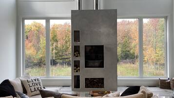 Smart TV, fireplace, books, music library